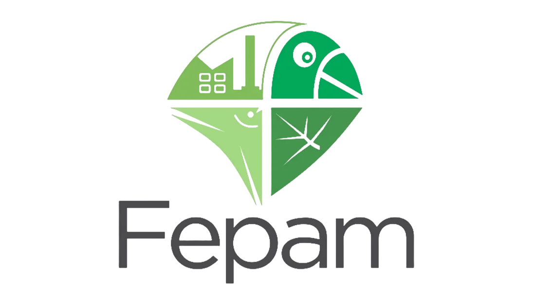 FEPAM